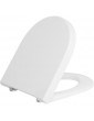 Abattant WC Duravit Starck 3 Softclose, blanc, avec charnière inox lxhxp: 380x30x383 mm
